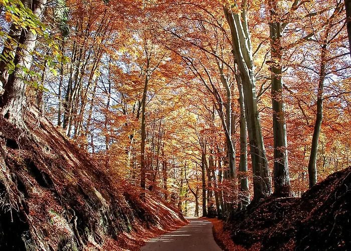 Pascale Vakantiehuis *